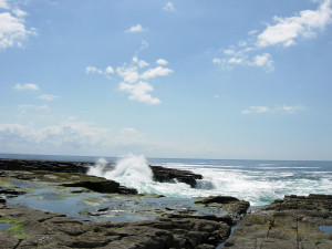 DSCN8003