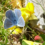 RSCN7693