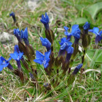 RSCN7895